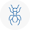 Ant Removals In Radlett