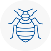 Bed Bug Extermination In Radlett