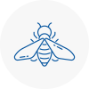 Bee Nest Removal Radlett