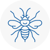 Radlett Hornet Nest Removals