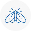 Moth Control Specialists In Radlett