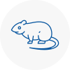 Rat Control Radlett