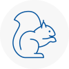 Radlett Rodent Removals