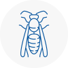 Radlett Wasp Nest Removal